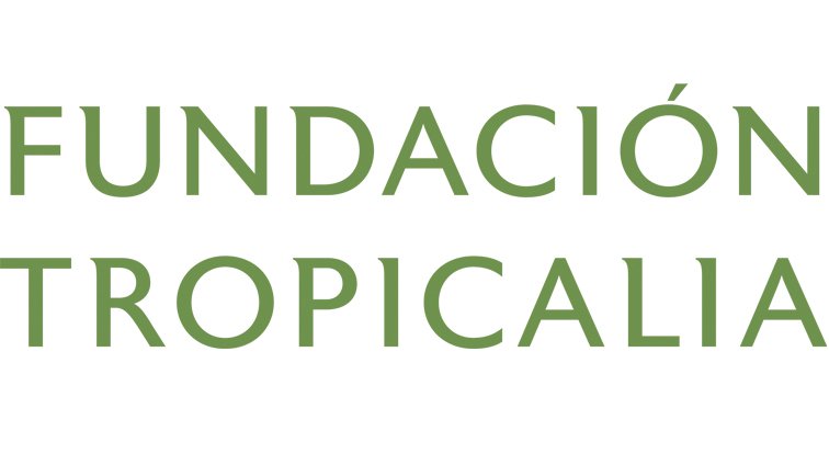 Fundación Tropicalia y Tropicalia: Acceso al financiamiento internacional comienza a verse prometedor