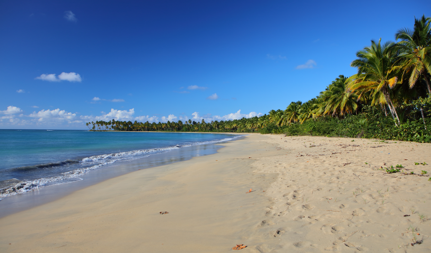 Tu puedes contribuir a la preservación de nuestras playas